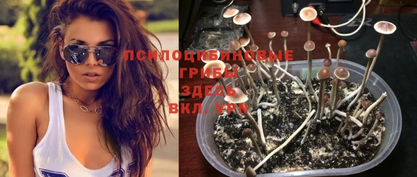 СК Надым