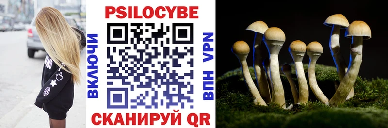 Псилоцибиновые грибы Psilocybine cubensis  как найти наркотики  МЕГА сайт  Остров 